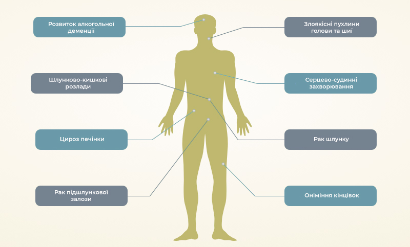 вплив алкоголю на організм