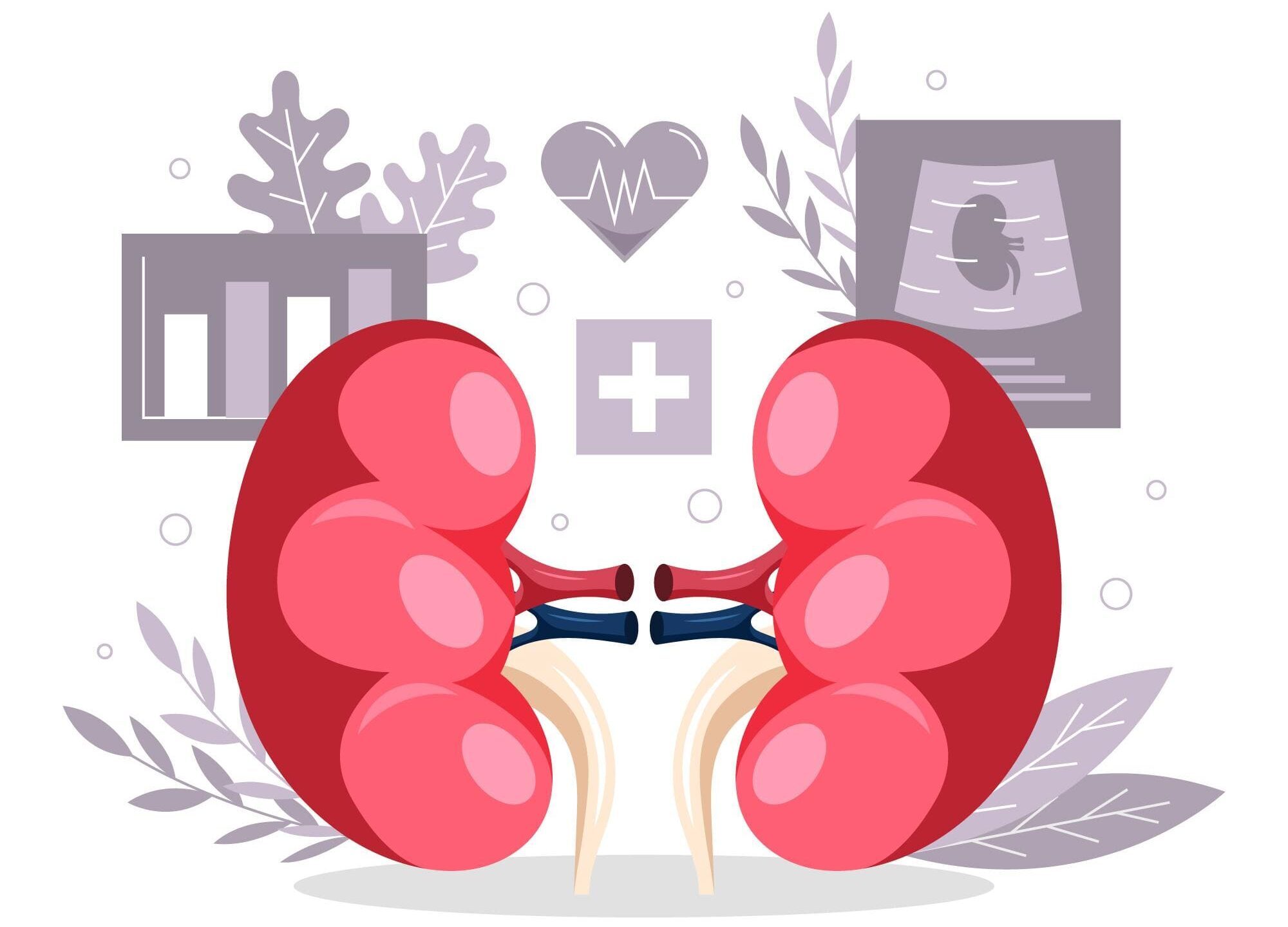 чому болять нирки після алкоголю